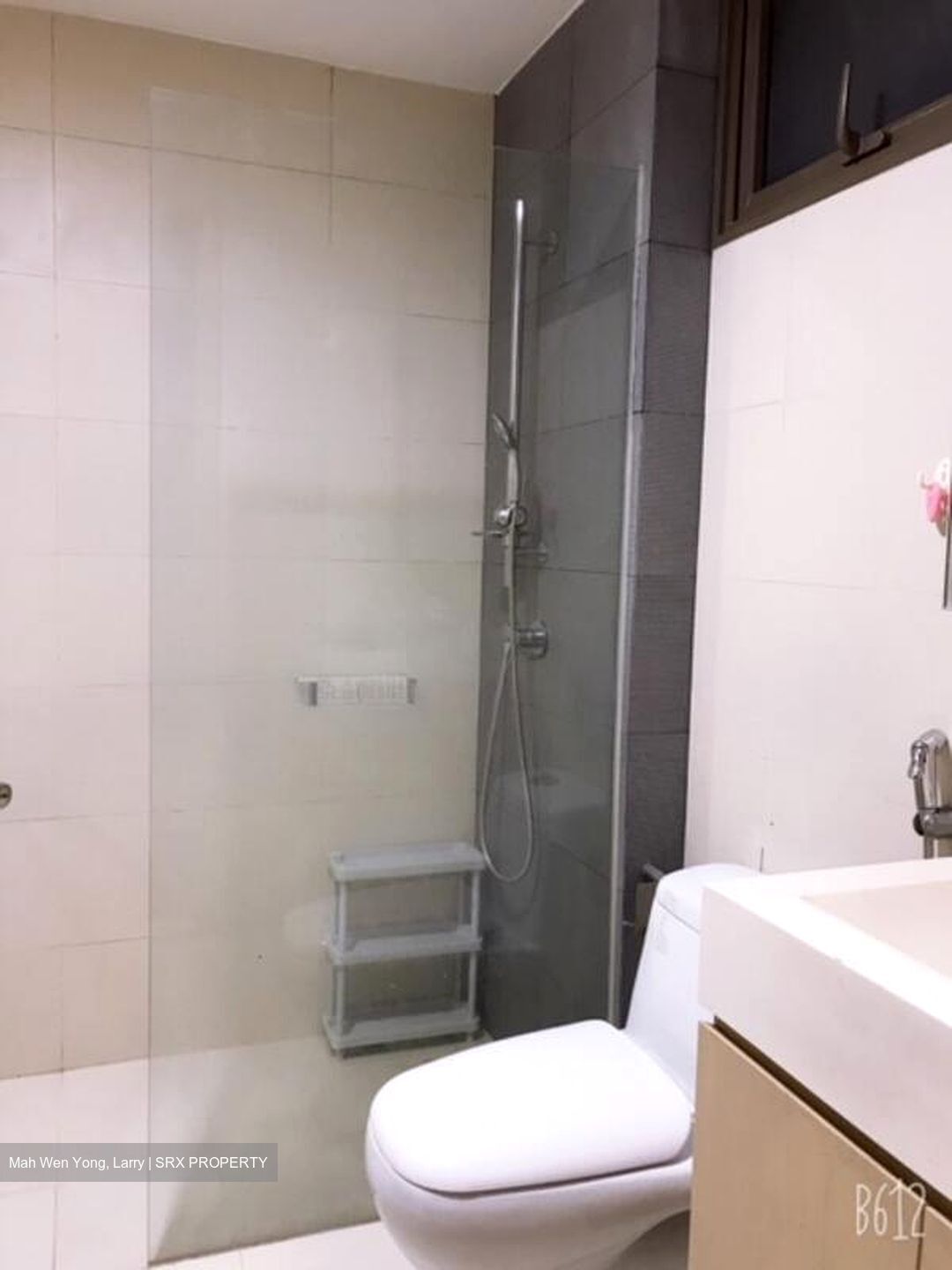 Parc Vera (D19), Condominium #504513621